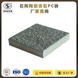 專業制造，堅固耐用 18mm陶瓷仿花崗巖路面磚引領戶外鋪裝新潮流